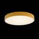 Потолочный светодиодный светильник Loft IT Axel 10002/24 yellow, изображение 5