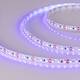 Светодиодная лента Arlight 9,6W/m 120LED/m 2835SMD ультрафиолет 5M 012812(2), изображение 2