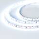 Светодиодная лента Arlight 9,6W/m 120LED/m 2835SMD холодный белый 5M 015212(2), изображение 2