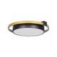 Потолочный светодиодный светильник Loft IT Mike 10169, изображение 4