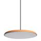 Подвесной светодиодный светильник Loft IT Plato 10119 Orange, изображение 5