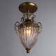 Потолочный светильник Arte Lamp Schelenberg A4410PL-1SR, изображение 6