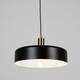 Подвесной светильник Arte Lamp Skat A7152SP-1BK, изображение 4