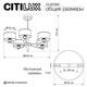 Люстра на штанге Citilux Alton CL421252, изображение 8