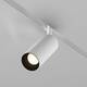 Трековый магнитный светильник Maytoni Focus LED TR032-4-12WTW-M-DD2-W, изображение 3