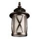 Уличный настенный светильник Loft IT Ravenna 100016W, изображение 3