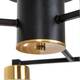 Потолочная люстра Arte Lamp Leo A7027PL-6BK, изображение 2