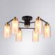 Потолочная люстра Arte Lamp Leo A7027PL-6BK, изображение 6