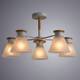 Потолочная люстра Arte Lamp Tyler A1031PL-5WH, изображение 3