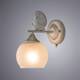 Бра Arte Lamp Gemelli A2150AP-1WG, изображение 4
