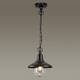 Уличный подвесной светильник Odeon Light Nature Campa 4965/1, изображение 3