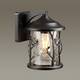 Уличный настенный светильник Odeon Light Nature Cuita 4963/1W, изображение 3