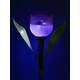 Светильник на солнечных батареях Uniel Promo USL-C-453/PT305 Purple Tulip UL-00004278, изображение 5