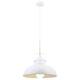 Подвесной светильник Arte Lamp Martin A5213SP-1WG, изображение 3