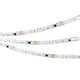 Светодиодная лента Arlight 12W/m 60LED/m 5060SMD разноцветный 5М SPI-SE-B60-10mm 24V 039601