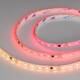 Светодиодная лента Arlight 12W/m 60LED/m 5060SMD разноцветный 5М SPI-SE-B60-10mm 24V 039601, изображение 3