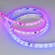 Светодиодная лента Arlight 12W/m 60LED/m 5060SMD разноцветный 5М SPI-SE-B60-10mm 24V 039601, изображение 4