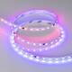 Светодиодная лента Arlight 12W/m 60LED/m 5060SMD разноцветный 5М SPI-B60-10mm 24V 039180, изображение 2
