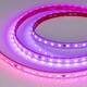 Светодиодная лента Arlight 12W/m 60LED/m 5060SMD разноцветный 5М SPI-PS-B60-12mm 24V 039181, изображение 3