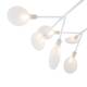 Потолочная люстра Freya Florencia FR5049CL-27W2, изображение 4