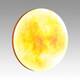 Настенно-потолочный светодиодный светильник Sonex Pale Sun 7726/EL, изображение 5