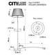 Торшер Citilux Линц CL402983T, изображение 2