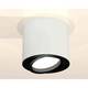 Комплект накладного светильника Ambrella light Techno Spot XS7401002 SWH/PBK белый песок/черный полированный (C7401, N7002), изображение 3