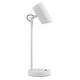 Настольная лампа Kanlux AGZAR E14 W 36251