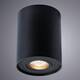 Потолочный светильник Arte Lamp A5644PL-1BK, изображение 2