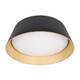 Потолочный светодиодный светильник Loft IT Evans 10224 Black, изображение 2