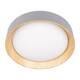 Потолочный светодиодный светильник Loft IT Coin 10202 Grey, изображение 2