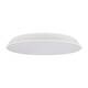 Потолочный светодиодный светильник Loft IT Brim 10226 White