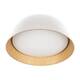 Потолочный светодиодный светильник Loft IT Evans 10224 White, изображение 2