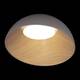 Потолочный светодиодный светильник Loft IT Egg 10197/500 Grey, изображение 4