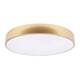 Потолочный светодиодный светильник Loft IT Flims 10228/A