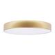 Потолочный светодиодный светильник Loft IT Flims 10228/A, изображение 2