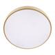 Потолочный светодиодный светильник Loft IT Flims 10228/A, изображение 3