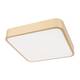 Потолочный светодиодный светильник Loft IT Flims 10228/C