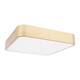 Потолочный светодиодный светильник Loft IT Flims 10228/C, изображение 2