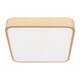 Потолочный светодиодный светильник Loft IT Flims 10228/C, изображение 3