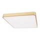 Потолочный светодиодный светильник Loft IT Flims 10228/D