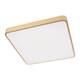 Потолочный светодиодный светильник Loft IT Flims 10228/D, изображение 3
