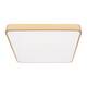 Потолочный светодиодный светильник Loft IT Flims 10228/D, изображение 4