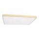 Потолочный светодиодный светильник Loft IT Flims 10228/E