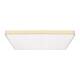 Потолочный светодиодный светильник Loft IT Flims 10228/E, изображение 2