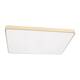 Потолочный светодиодный светильник Loft IT Flims 10228/E, изображение 4