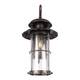 Уличный настенный светильник Loft IT Palermo 100015W, изображение 5