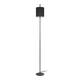 Торшер Loft IT Ritz 10253F/A Black, изображение 6