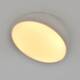 Потолочный светодиодный светильник Escada 20025SMA/01LED WH, изображение 4
