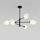 Подвесная люстра Eurosvet Sinki 30189/6 черный, изображение 6